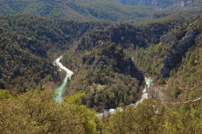 Recodo del Tajo