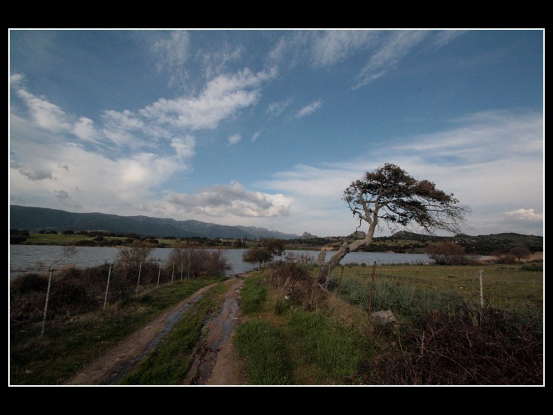 Lago del coghinas