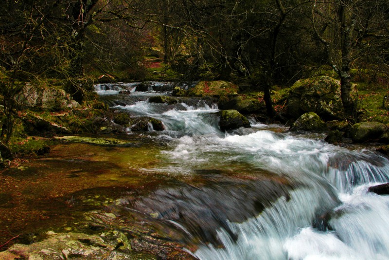 Saltos de agua