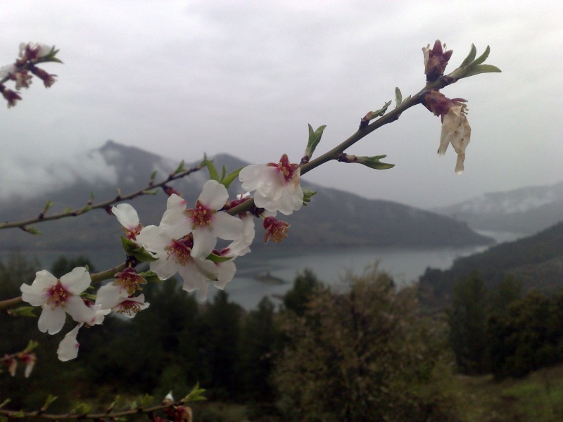 La primavera llega a El Tranco