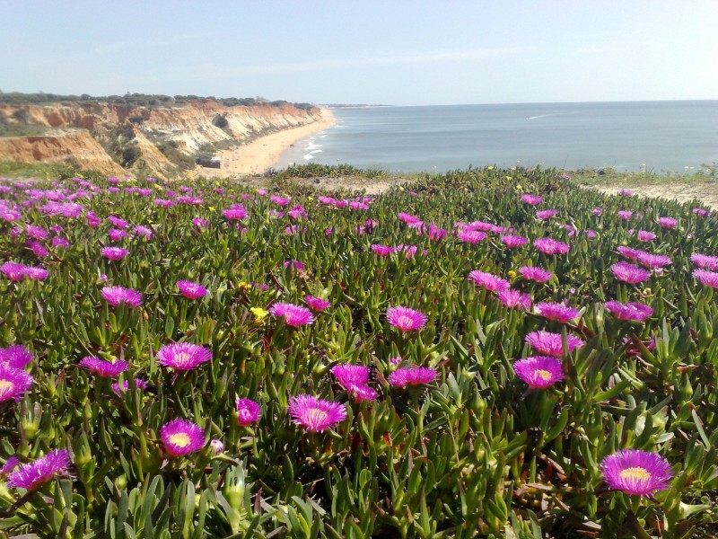 Luz y color en el Algarve