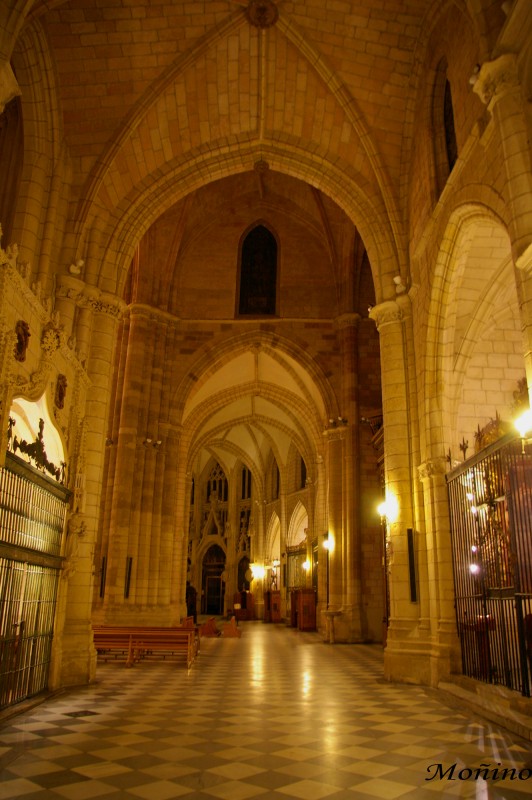 Interiores Catedral de Murcia