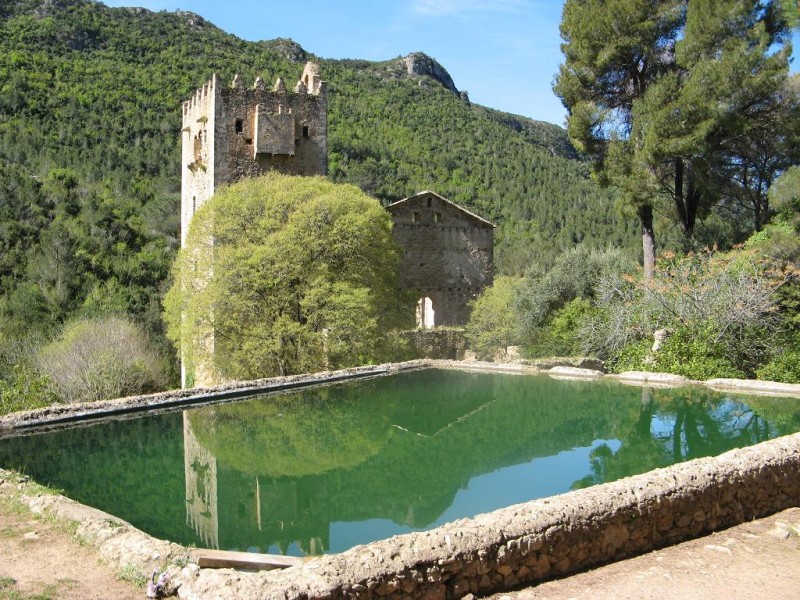 Murta