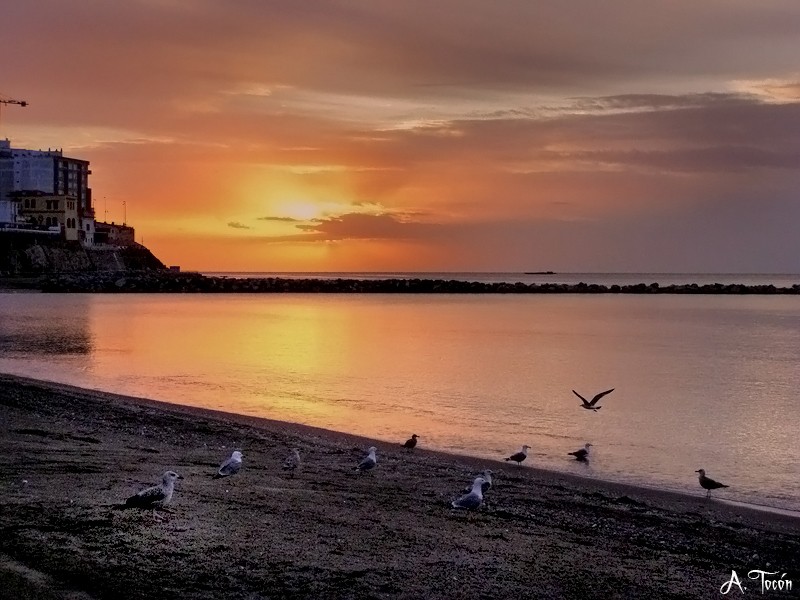 Amanece426
