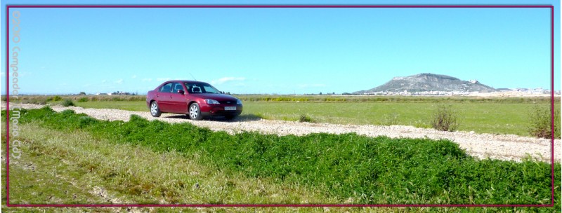 Homenaje al Ford Mondeo