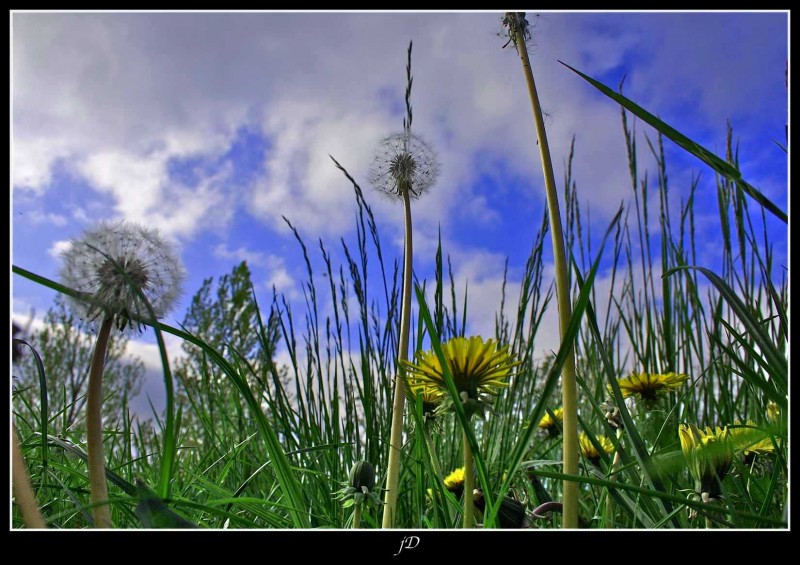 OTRA PERSPECTIVA