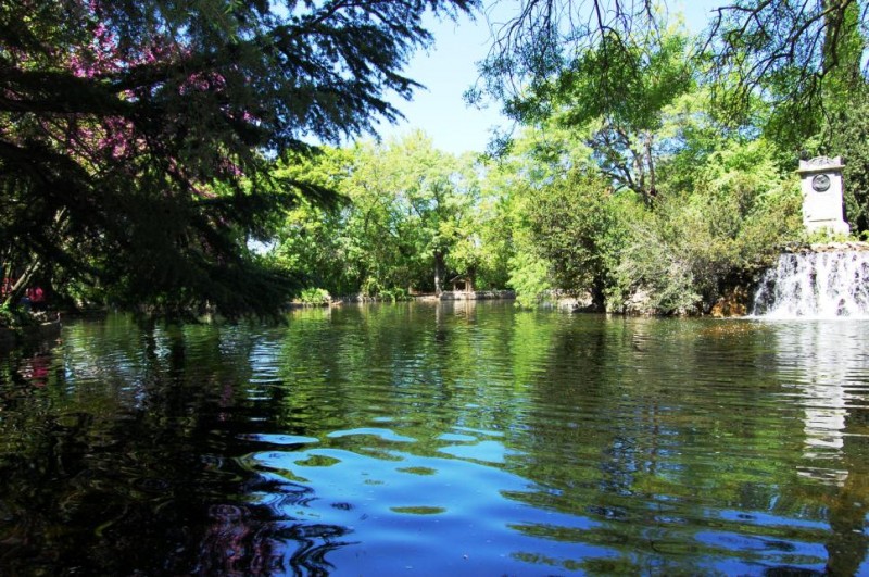 El estanque del parque