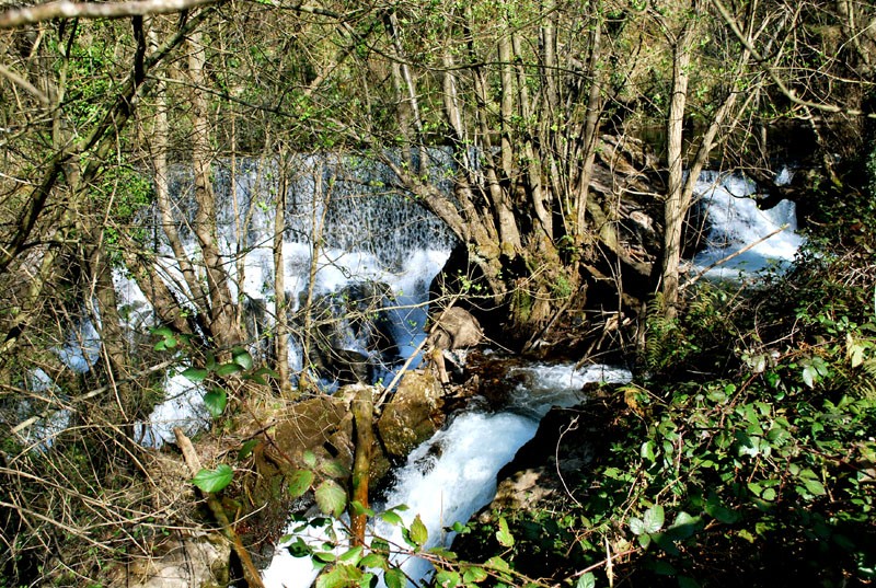 Agua de primavera