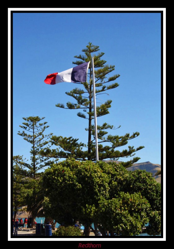 La bandera francesa ondea en Akaroa