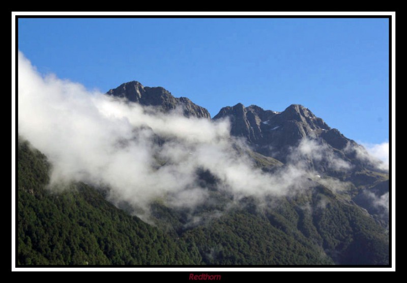 Camino del fiordo Milford Sound