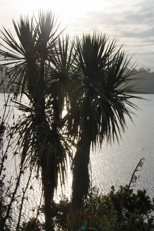 Lago Matahi
