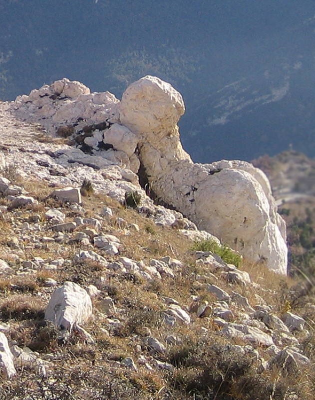 escultura natural- genitales hombre-