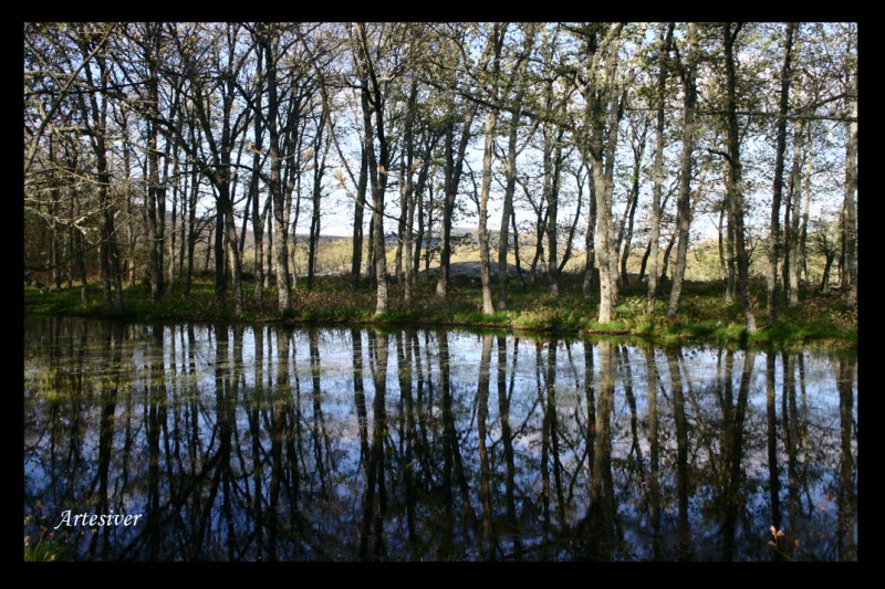 reflejo