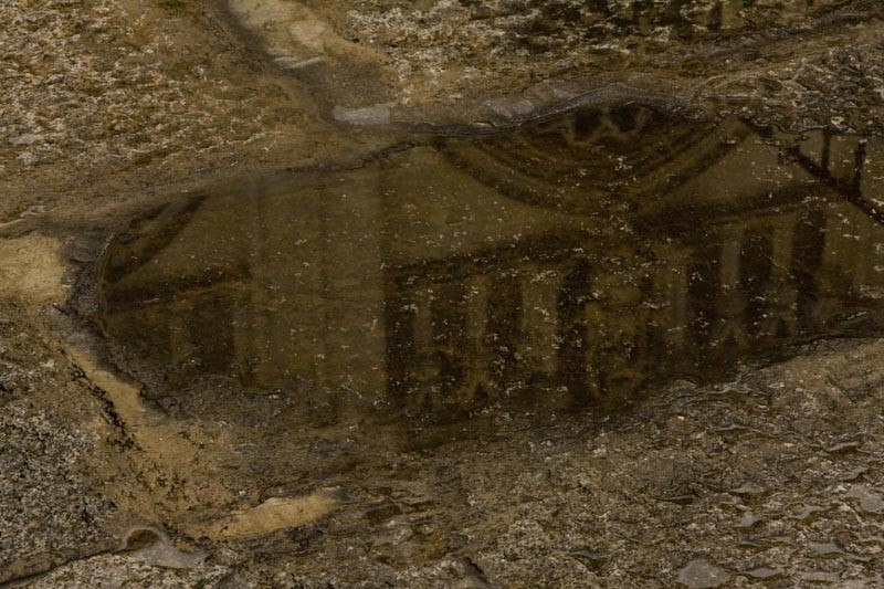 Reflejos de la Catedral