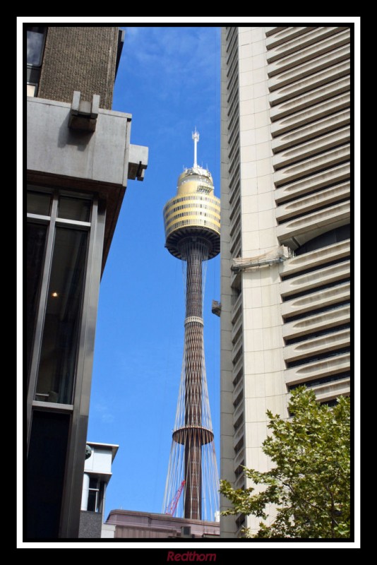 La Torre de Sydney entre rascacielos