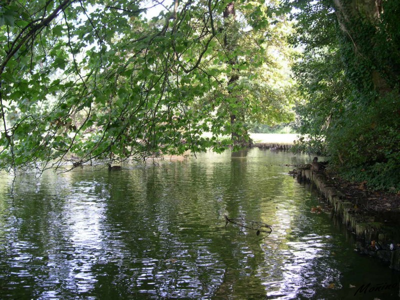 Jardines de Colonia