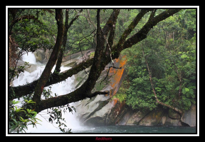 Las cascadas Josephine Falls