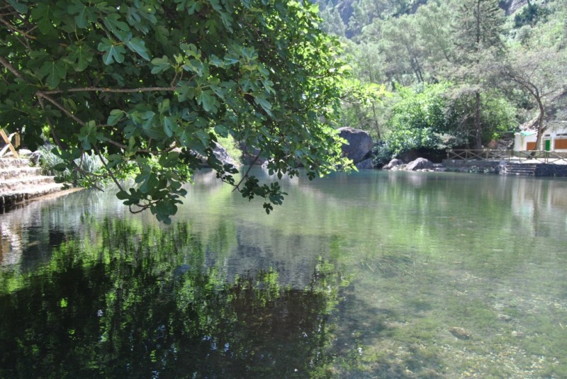 Charco del aceite