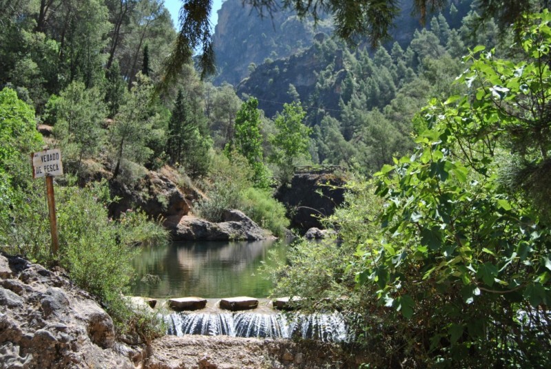 Charco del aceite