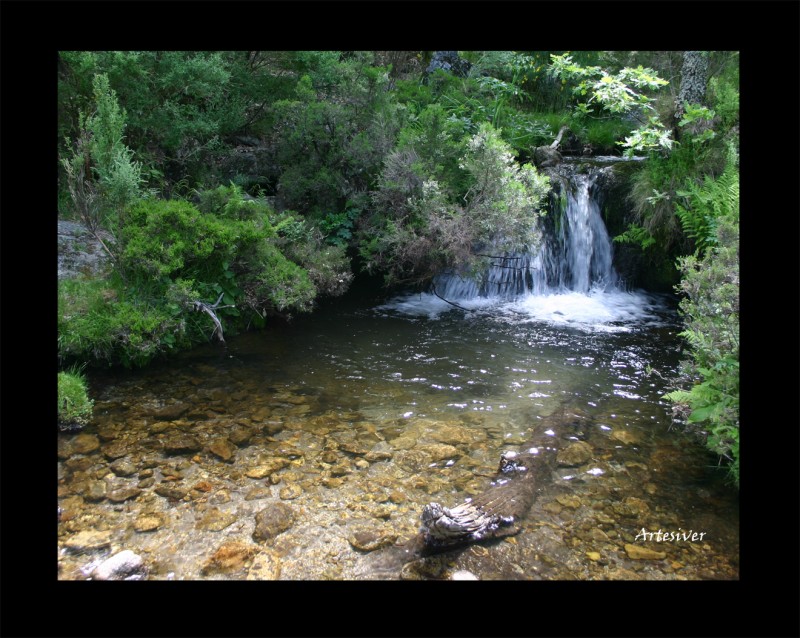 riachuelo