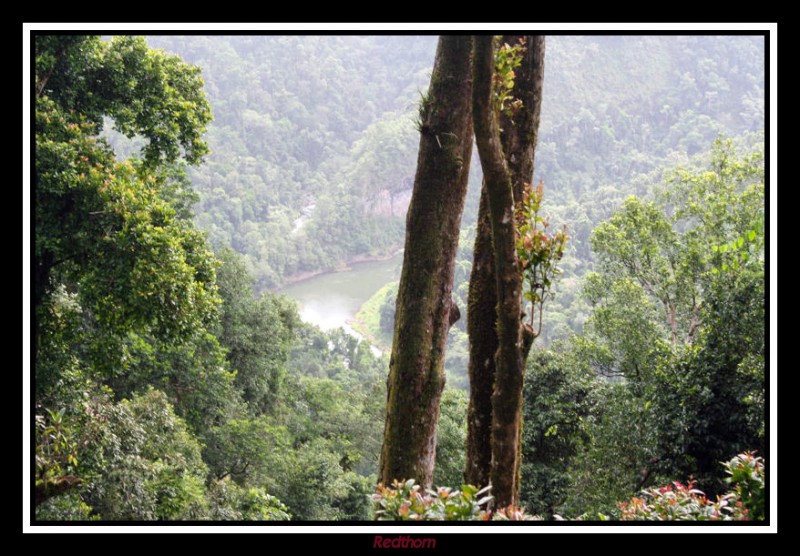 Selva lluviosa Mamu, Parque Nacional