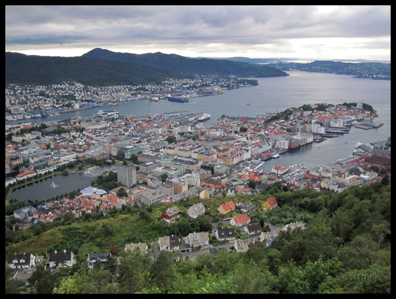 Bergen desde Flibanen