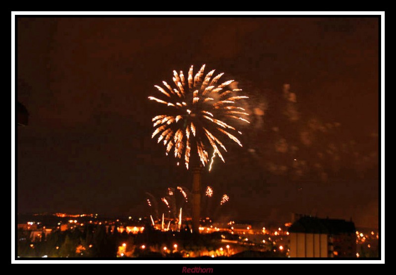 Palmera en Fuegos Artificiales