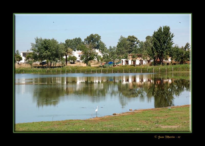 REFLEJOS