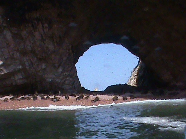 islas ballestas