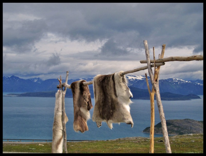 Banderas al viento