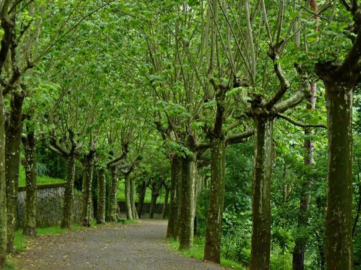 parque
