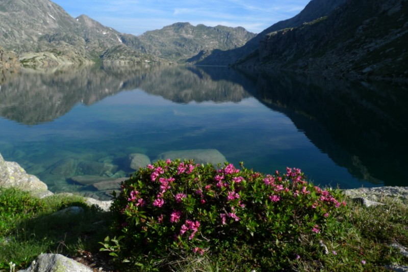 estany Tort