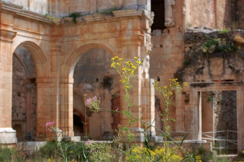 Bello entre ruinas