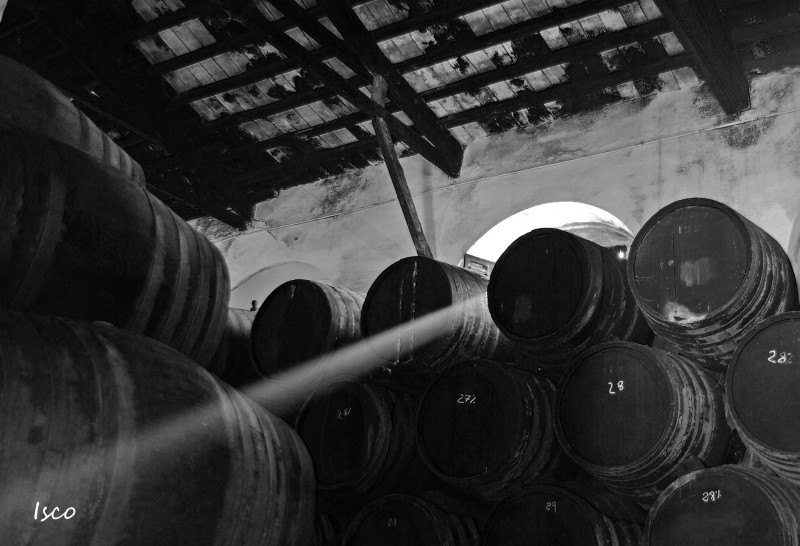 Luz en la vieja bodega