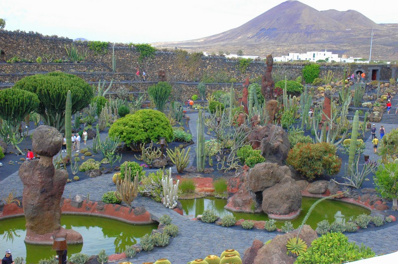 El Jardn