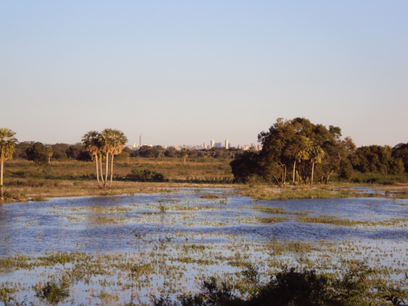 Laguna salada