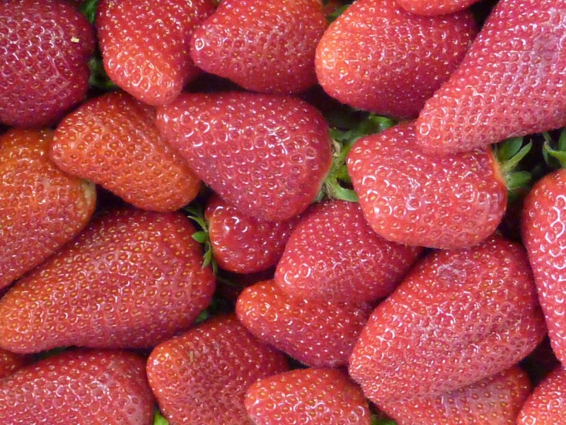 FRESAS