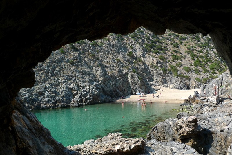 cala Domestica