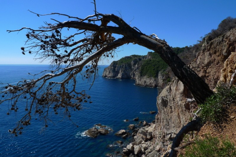 Cap de Begur