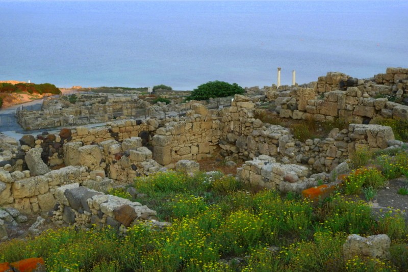 yacimiento arqueolgico