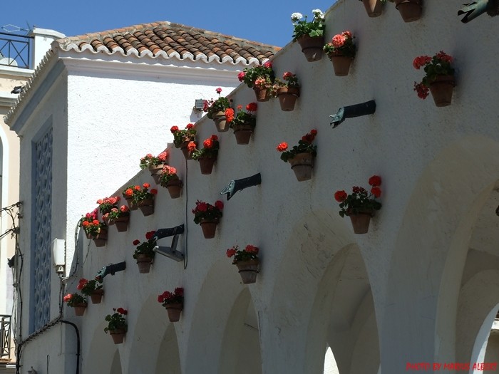 las flores colgadas