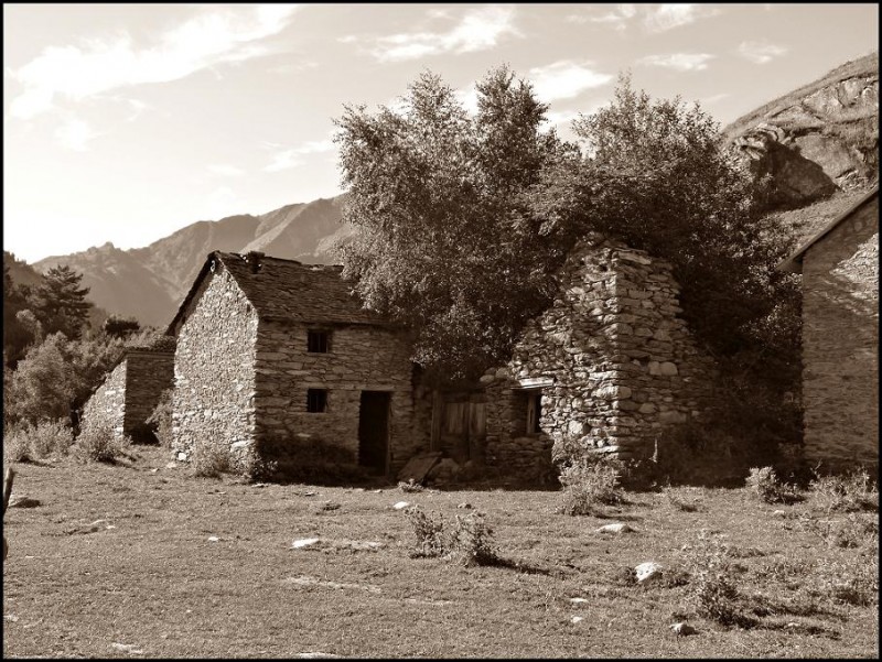 abandonadas