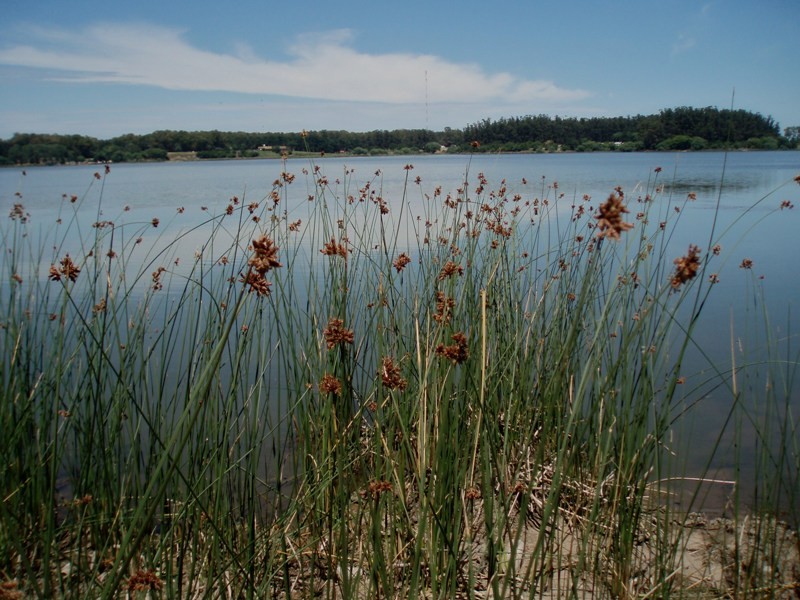 La Laguna de Sierra de Los Padres