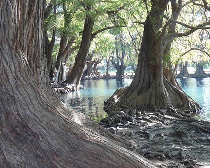 LOS AOS Y EL AGUA