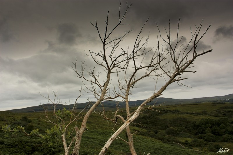 Esperando la tormenta