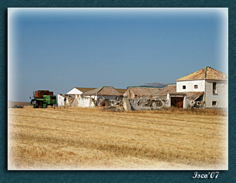 Casas en el campo