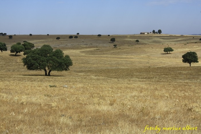 campo abierto