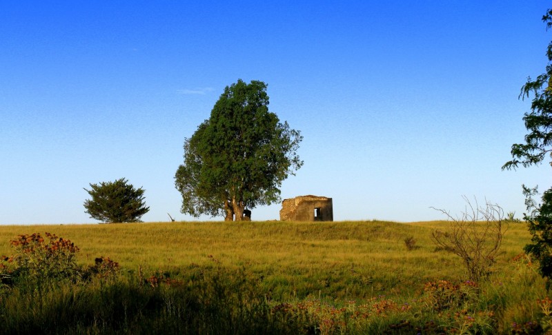 EL RANCHO SE HIZO TAPERA