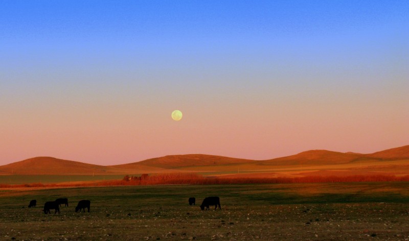 CAMPOS DE MI TIERRA