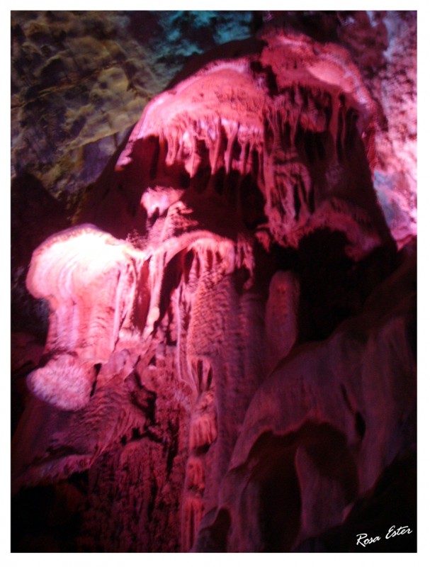 Cuevas de Canelobre